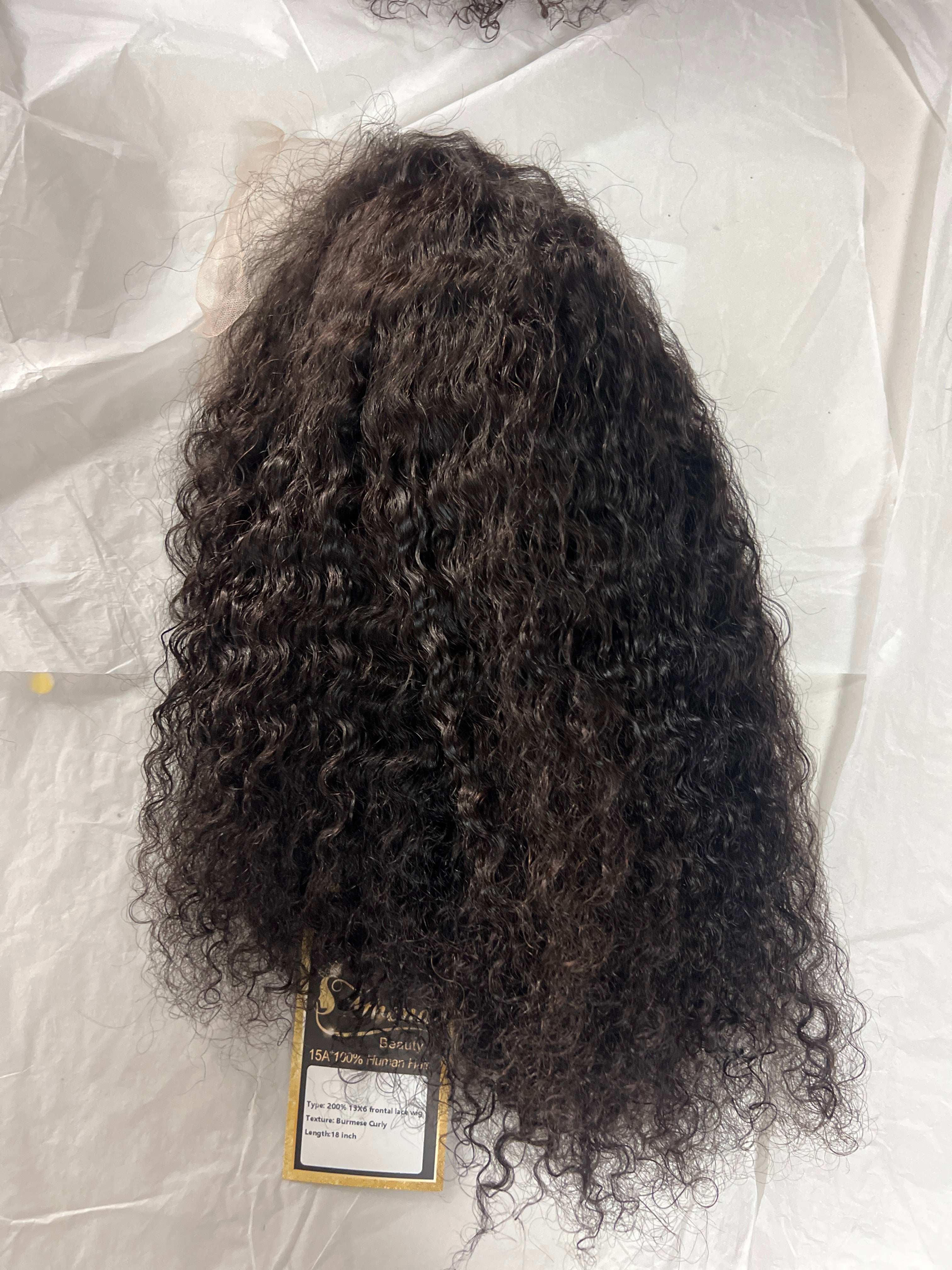 100% human hair wigs  13x6 burmese